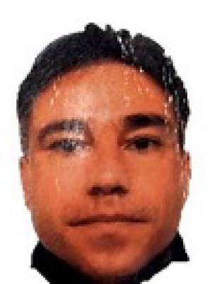 BERTINI