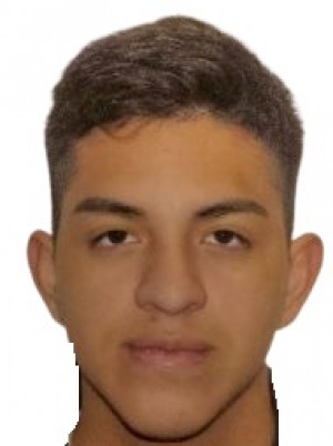 BRIONES VILLAMAR