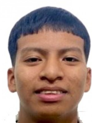 PISFIL GUAMAN