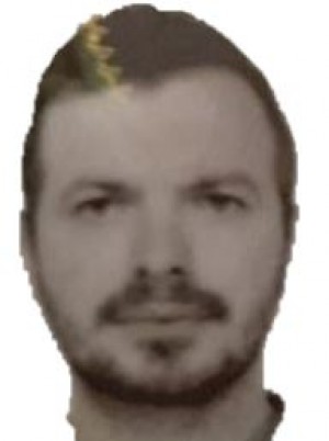 KOLESNIK