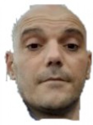 LIPARDI