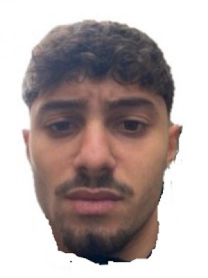 LOMBARDO