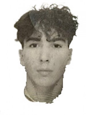 VALLONI