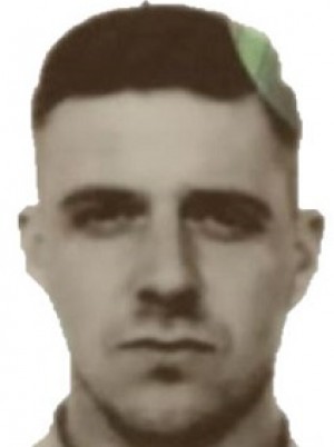 TASSELLI