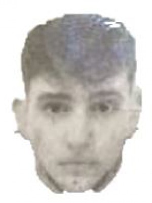 LUZII