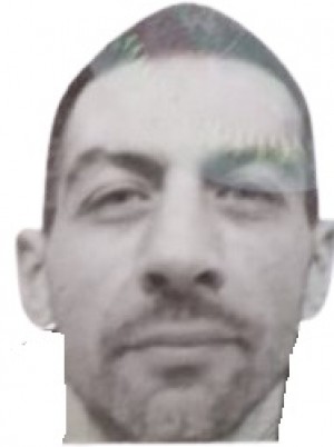 BRUNI