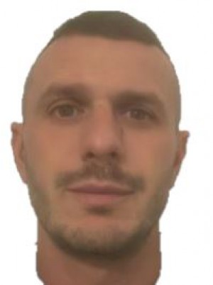 ALBANESE