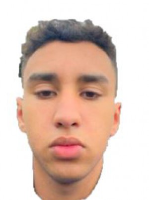 MAJDI