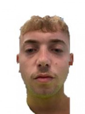 BRACCI