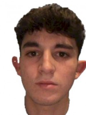 VINCENZI