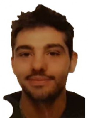 DI GIORGIO 