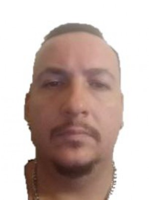 SINOSICH