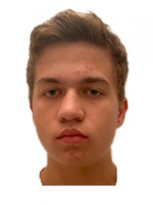 DEN HOLLANDER