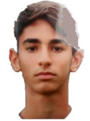 STALFIERI