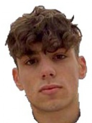 MICHELINI
