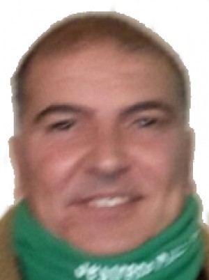 MINEO
