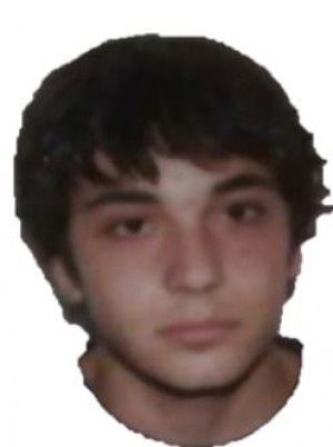 MONTI