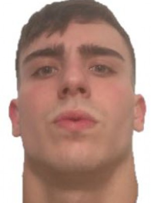 MORTILLARO