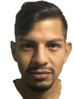 MURILLO MERA