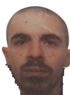 VACCARO