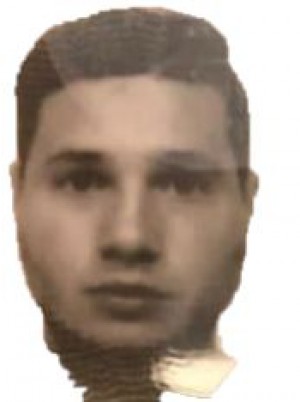 NICOLETTI