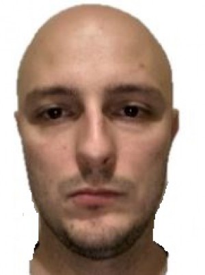 OLIVARI