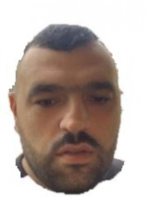 PAUN