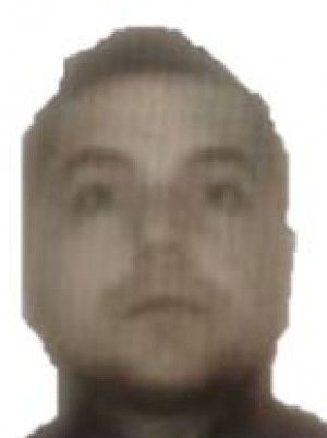 PINNA