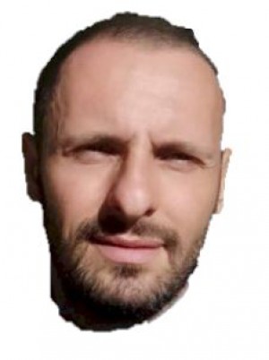 PIPOLO
