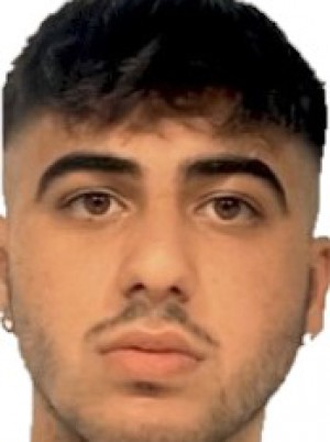 PISANI