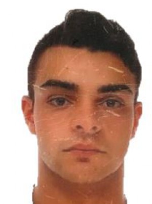 PLUCHINO