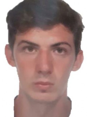 RIBIZZI
