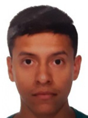 ROSALES GOMEZ