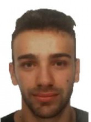 SCAFFAI