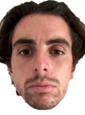 BERSANI
