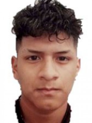 TACURI AVILA
