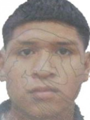TACURI AVILA