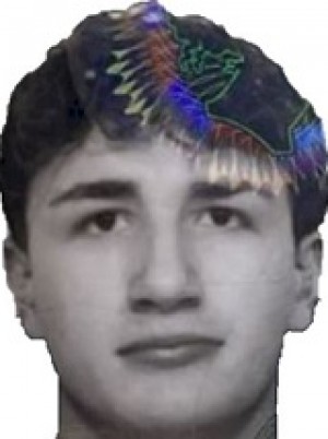 TERRACINI VICARIO