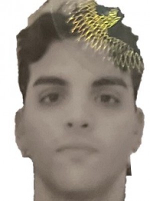TOSELLI