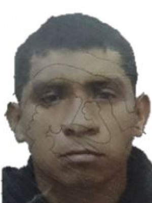 AVILA TRUJILLO