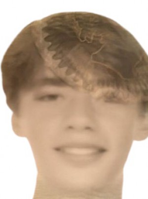 PARODI