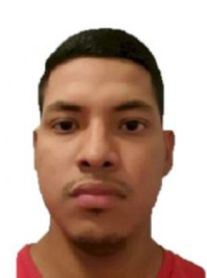 ULLOA MOREIRA