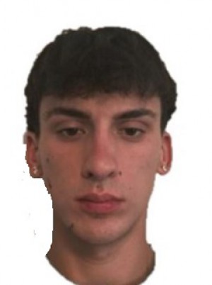 VACCHINO