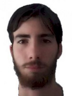 VALDI