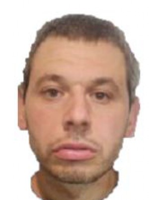 VANNETTI