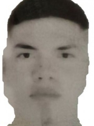 VARGAS HERRERA