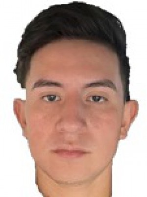 VARGAS TELLO
