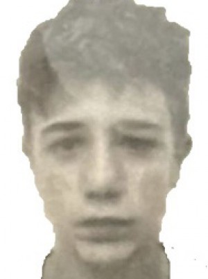 VEDRINI