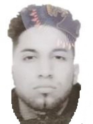 VELIZ ALVAREZ