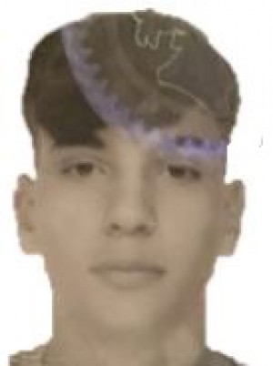 VENDOLA